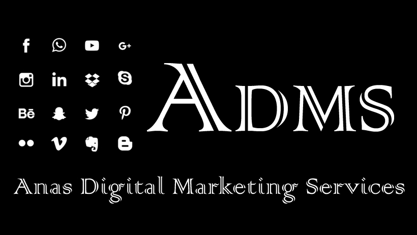 Anas Digital Marketing Service bijnor