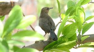 Sonica Photo Studio - Madhya Pradesh