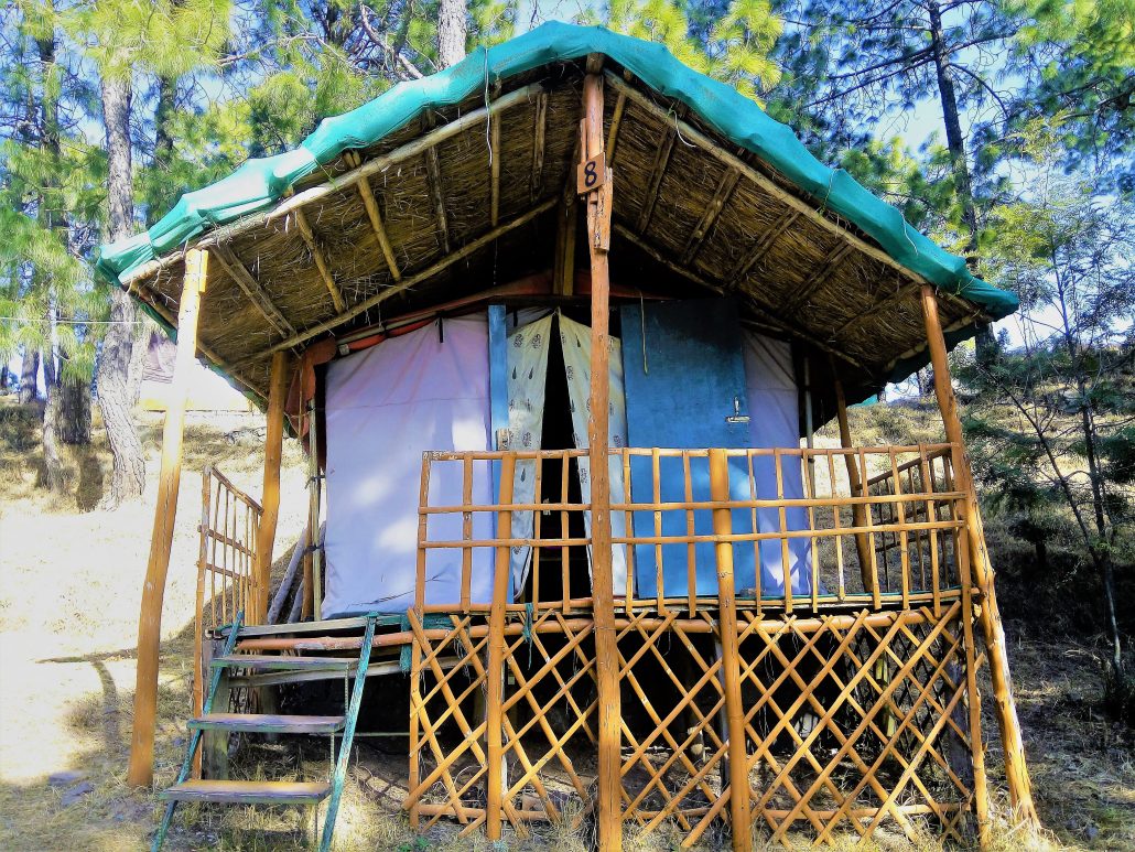 ssSanawar Nature Camp | best camp in solan