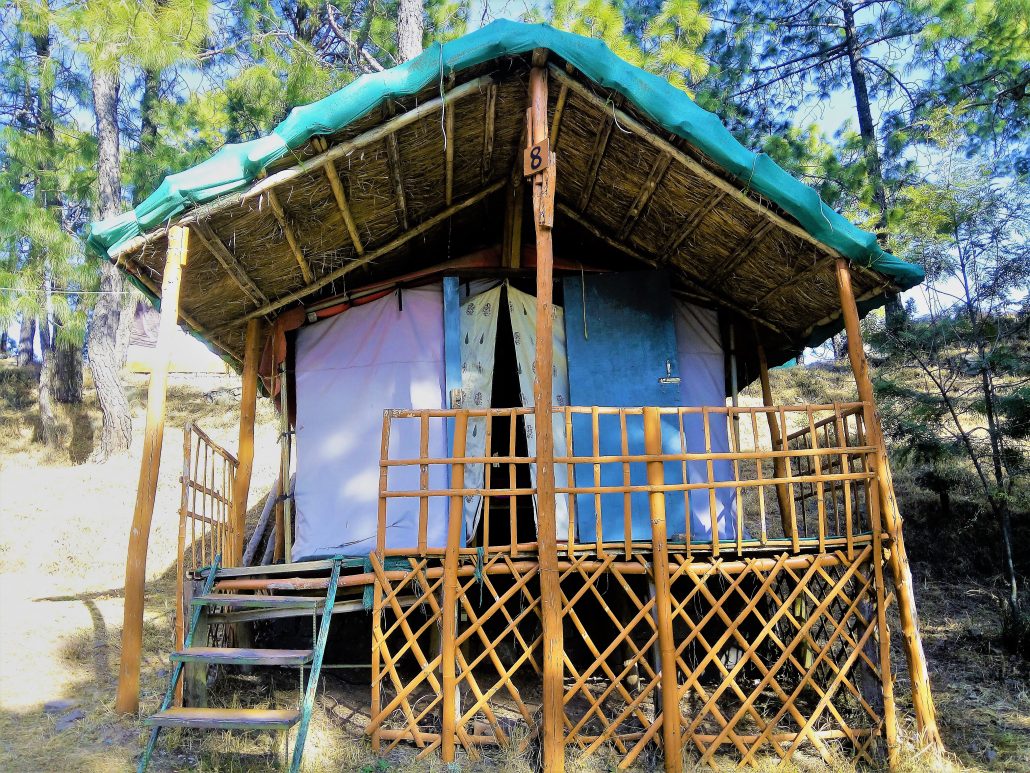 Sanawar Nature Camp | best camp in solan