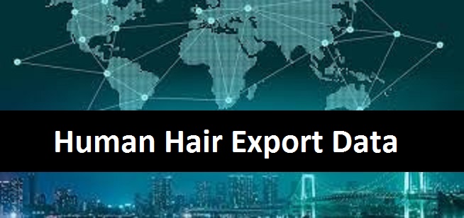 Human Hair Export Data: Make the Best Sales Prospects