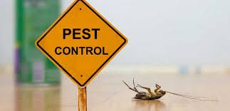 Eco Welfare Pest Control