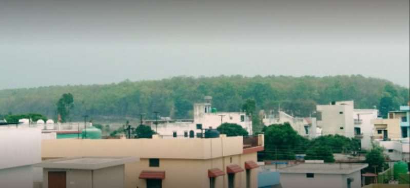 Green View Boys Hostel