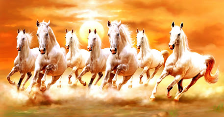 DIGITAL SHIVAM STUDIO - Rewa