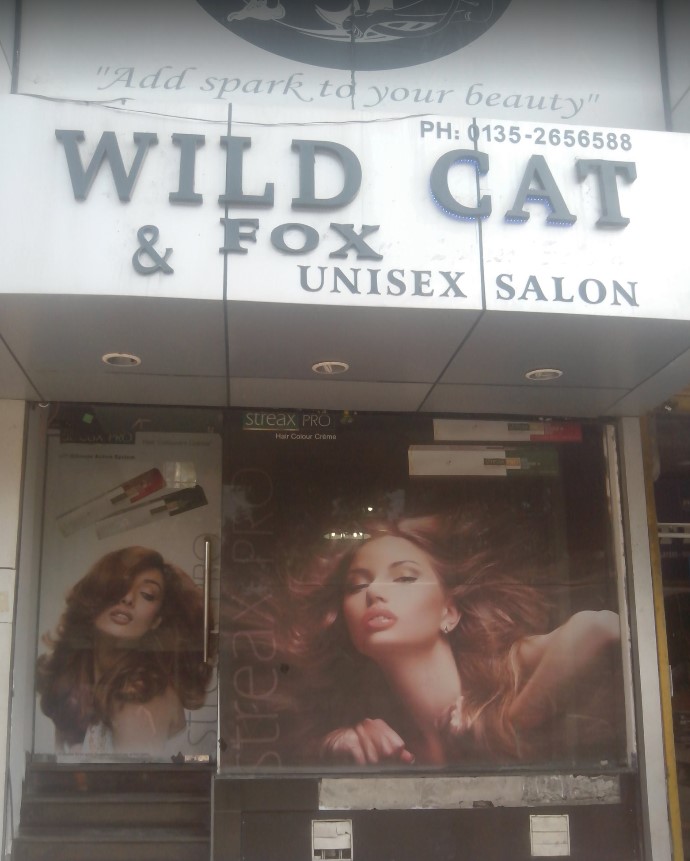 Wild Cat & Fox Dehradun