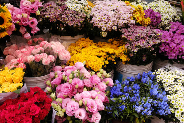 Amruta Flowers