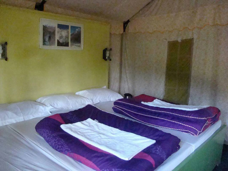 ssRed wood camp shimla | best luxury camp in shimla