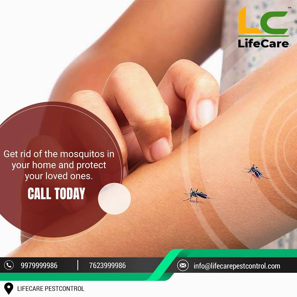 Lifecare Pestcontrol Service