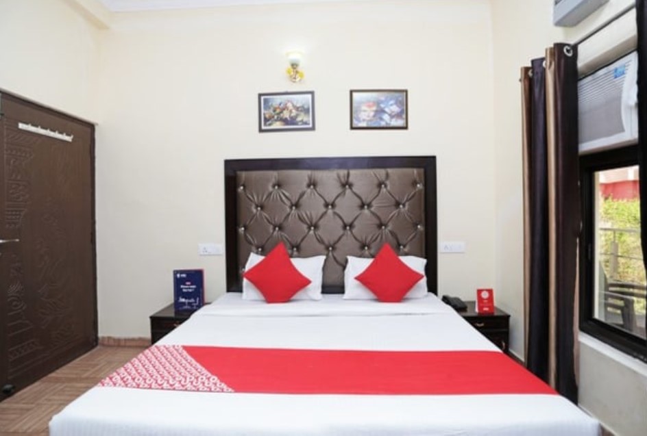  Hotel Vishla Palace 