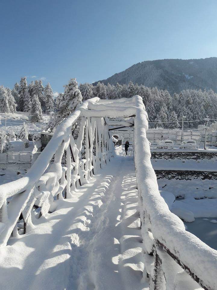 Saints Tours and Travels | Best Tour Operator in Srinagar