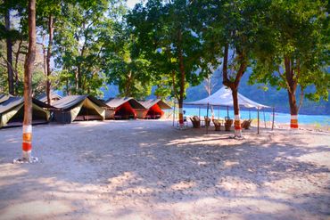 Rishikesh Camp - Rishikesh