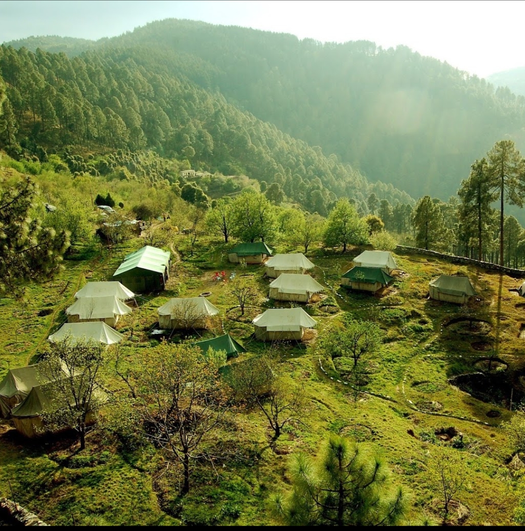 camp hammock | best luxury camp in tehri