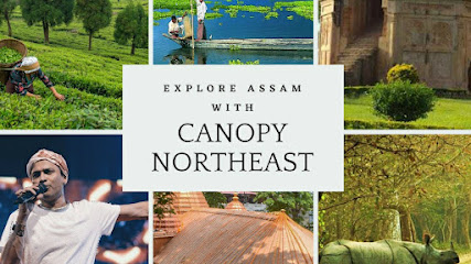 Canopy Northeast- Self Drive Bikes & Cars rental