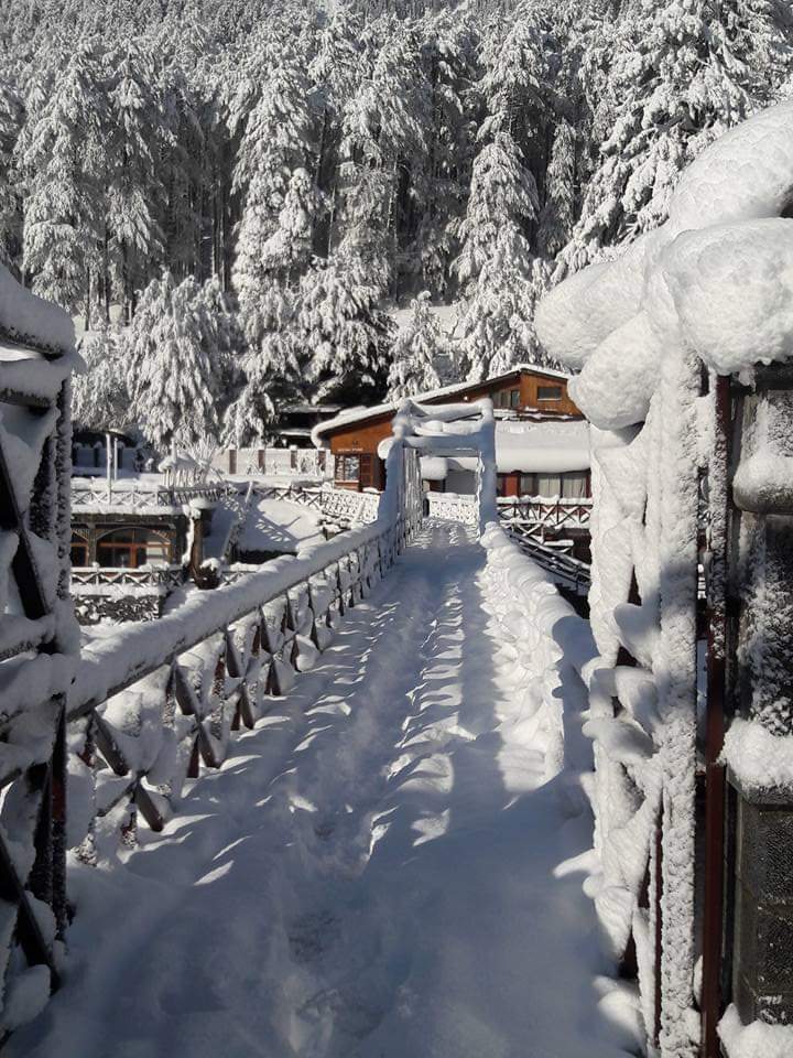 Saints Tours and Travels | Best Tour Operator in Srinagar