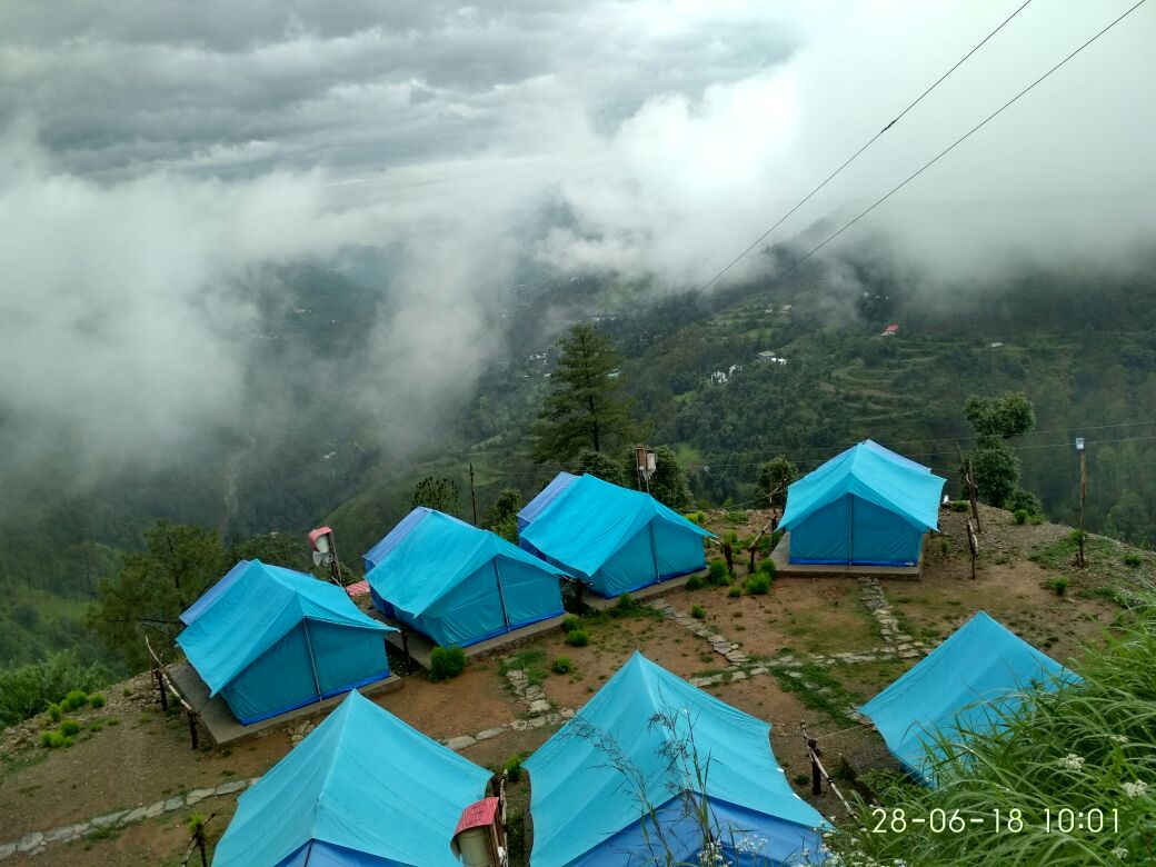 pine hills camp | luxury camp in shimla
