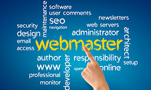 Pixxelu Web Design and Development Company