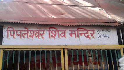 Pipleshwar Shiv Mandir- Rishikesh
