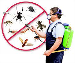 North Wala Pest Management Services