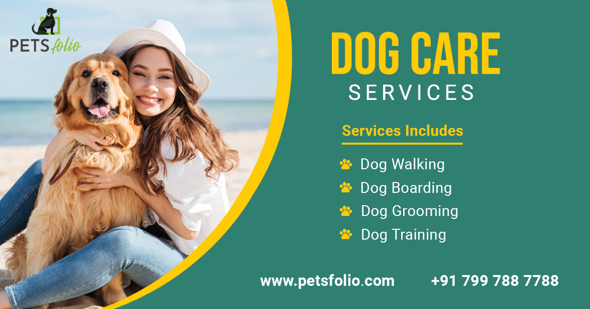 Dog walking, dog grooming, dog training, dog boarding services - Petsfolio