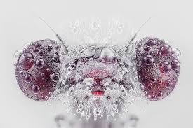 Natural Arts Photo Studio And Videography - Rishikesh