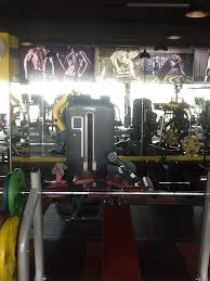 The Celebrity Fitness Gym | The Best Gym in Dehradun
