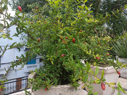 Yash Studio - Gwalior