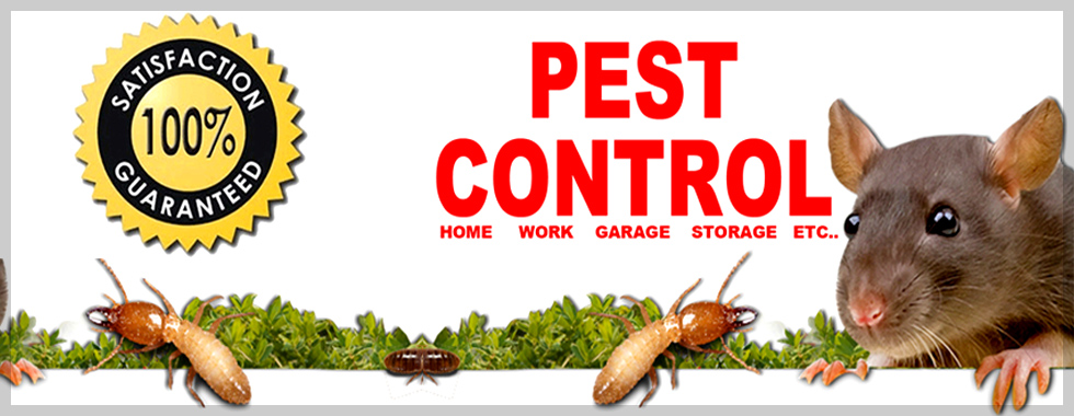 Dehradun Pest Control Services - Dehradun , Haridwar