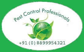 Pest Control Professionals - Rishikesh