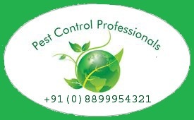 Pest Control Professionals - Rishikesh