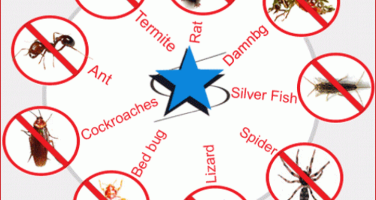 Eco Welfare Pest Control