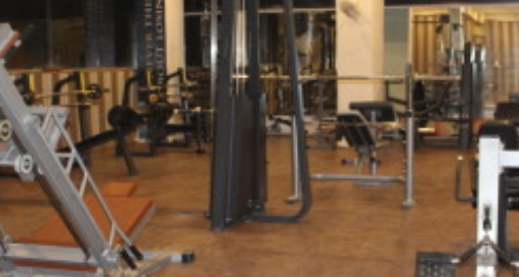 Shimaya farm fitness reloaded