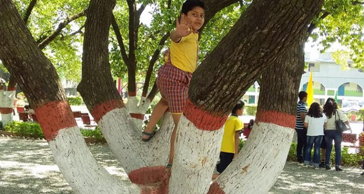 Raja Ram Mohan Roy Academy