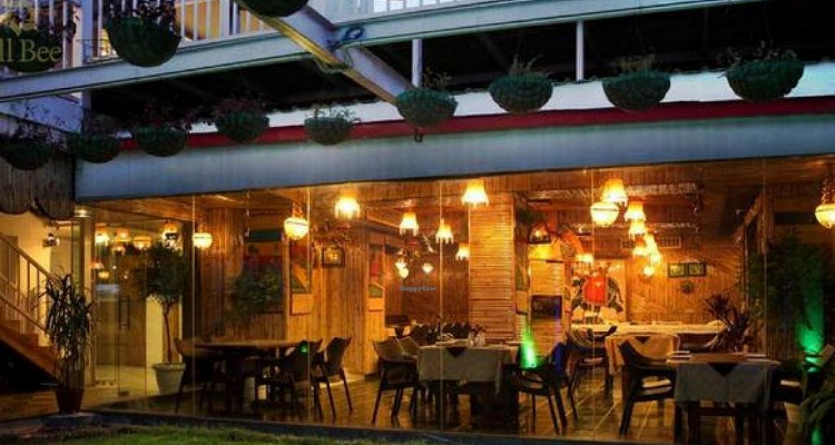 The Sitting Elephant 