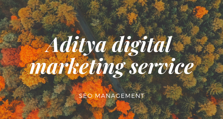 ssAditya pandey digital marketing service