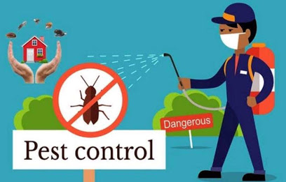 Pest Control Services In Chandigarh - Rawat Pest Control Service Chandigarh