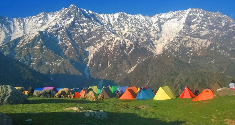 Peregrine Treks and Expedition Pvt Ltd