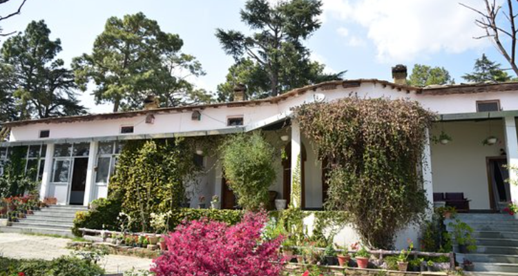 Deodar Homestay almora