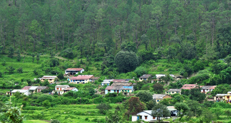 Ghorakhal Tea Factory