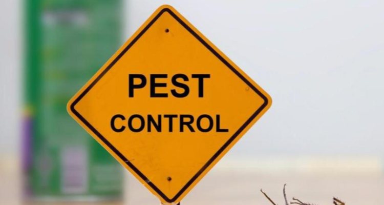 ssLaxmi Pest Control Service Allahabad