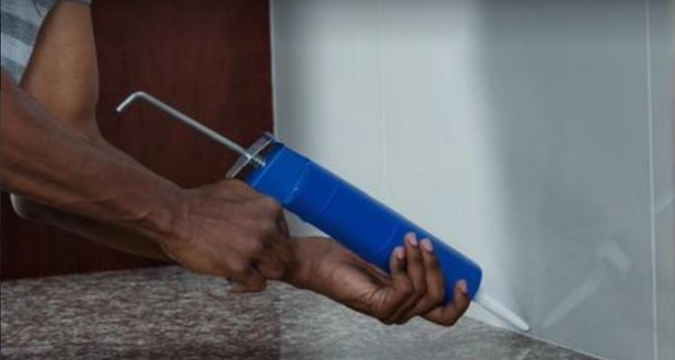 Laxmi Pest Control Service Allahabad