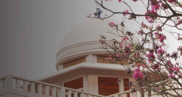 SAIACS – Excellence for Service