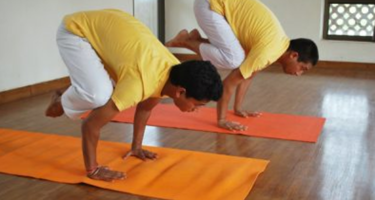 SIVANANDA YOGA VEDANTA NATARAJA CENTRE