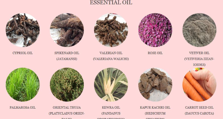 M. L. Ramnarain Perfumers