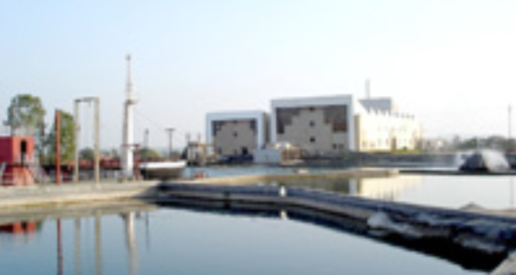 Tolani Maritime Institute