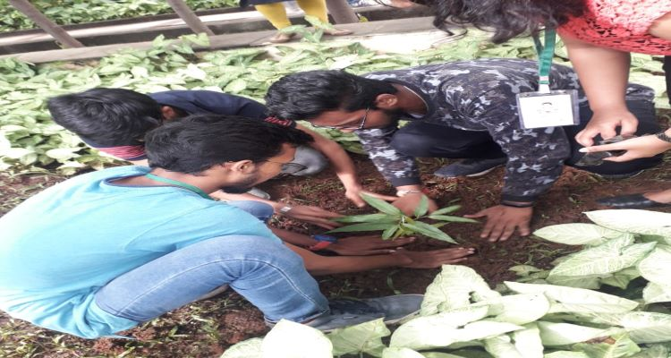 SIES Graduate School of Technology