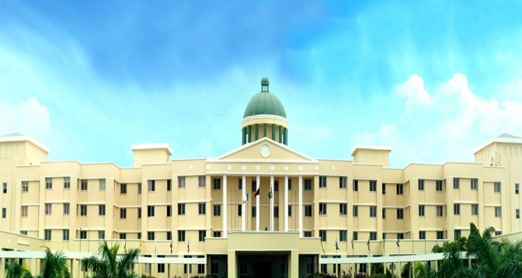 Ajinkya D Y Patil  University