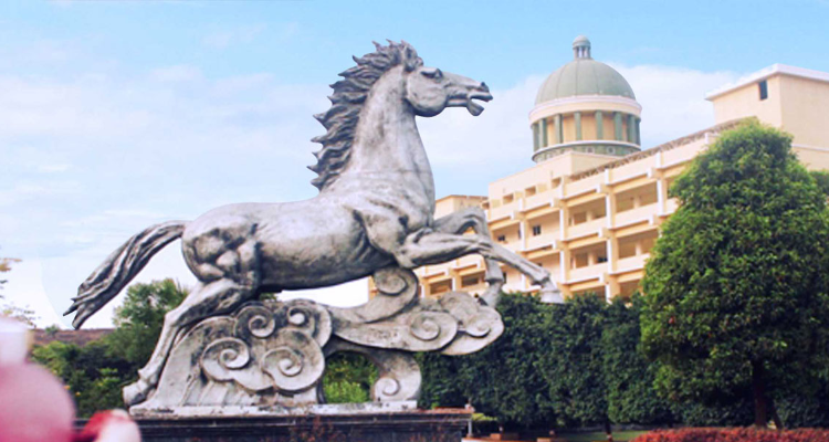 Ajinkya D Y Patil  University