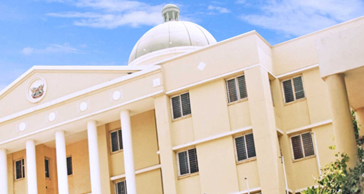 Ajinkya D Y Patil  University