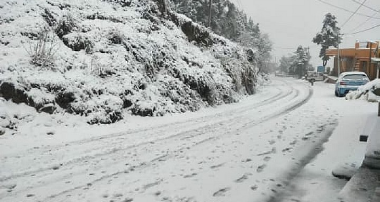 Camp Countless Journey Kanatal