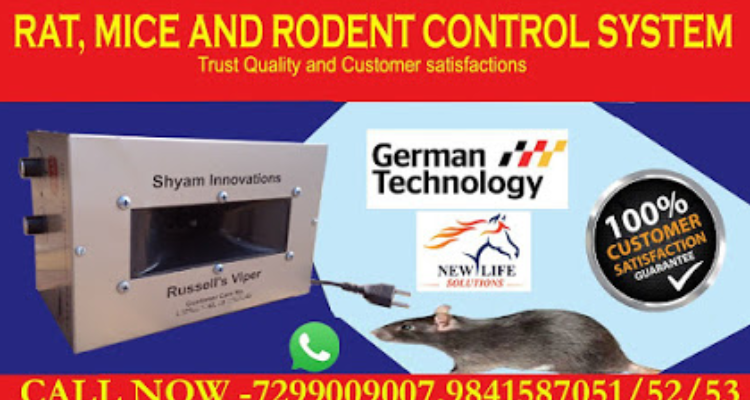 Chennai pest Control Service